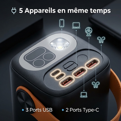 Powerbank BAGULE:Ordinateur/Téléphone